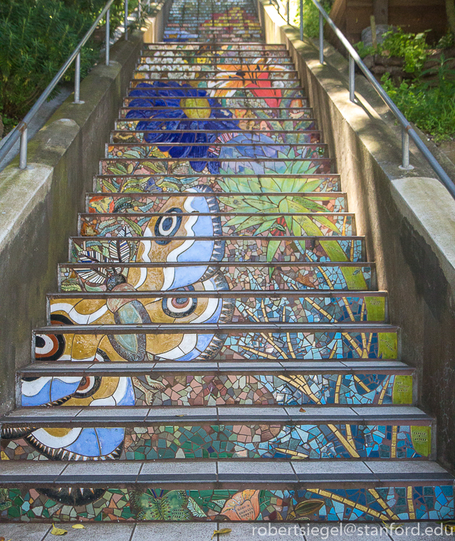 The steps of San Francisco